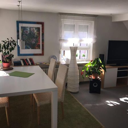 Casa Christina Apartment Orschweier Екстериор снимка