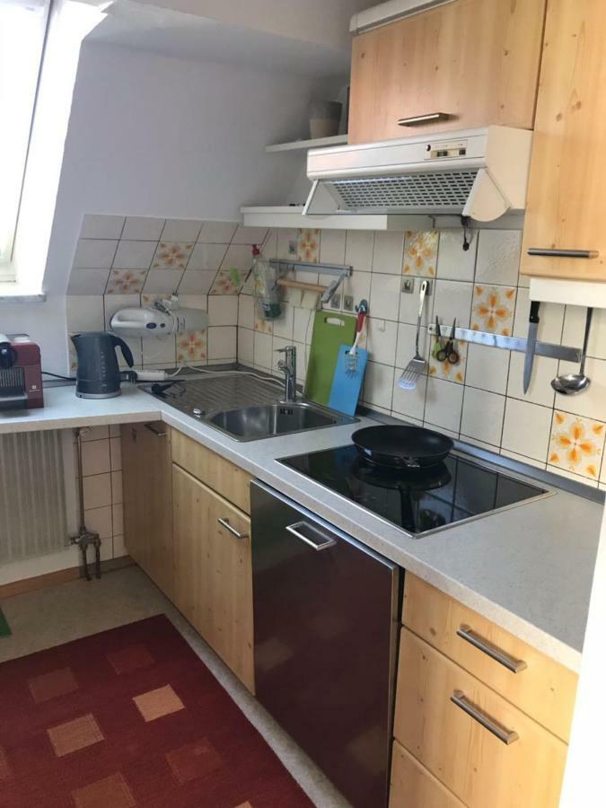 Casa Christina Apartment Orschweier Екстериор снимка