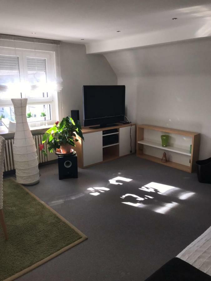 Casa Christina Apartment Orschweier Екстериор снимка