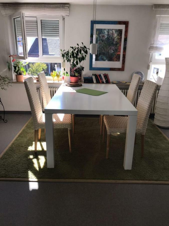 Casa Christina Apartment Orschweier Екстериор снимка