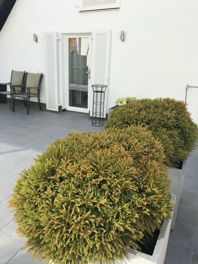 Casa Christina Apartment Orschweier Екстериор снимка